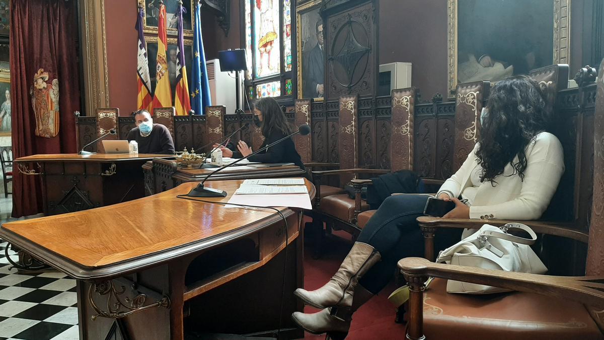 El teniente de Movilidad Francesc Dalmau ha intervenido esta mañana en la comisión del pleno.