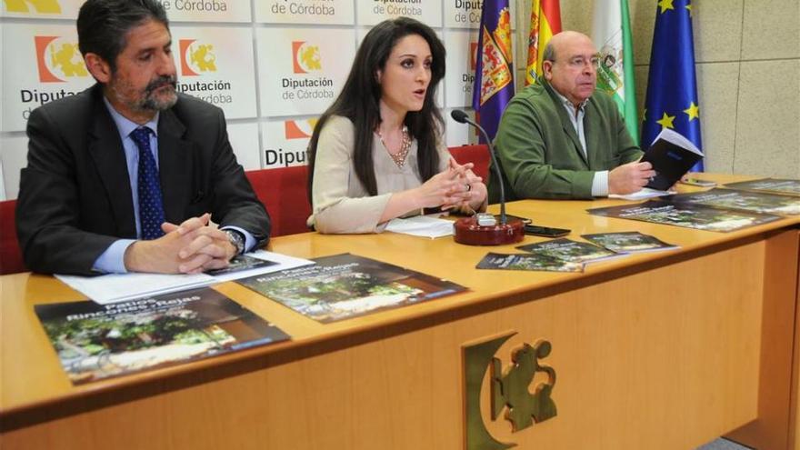 Diputación y Fundación Viana organizan el Concurso de Patios, Rincones y Rejas de la provincia