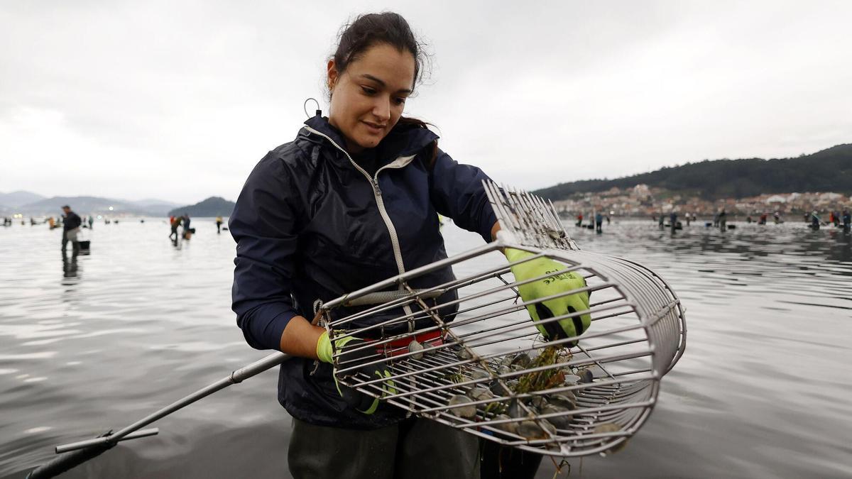 el número de mariscadoras gallegas se hunde como nunca y lleva a mínimos históricos su presencia