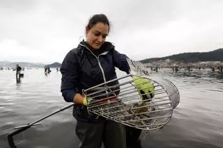 Ellas, cada vez menos en el mar: el número de mariscadoras gallegas se hunde como nunca y lleva a mínimos históricos su presencia