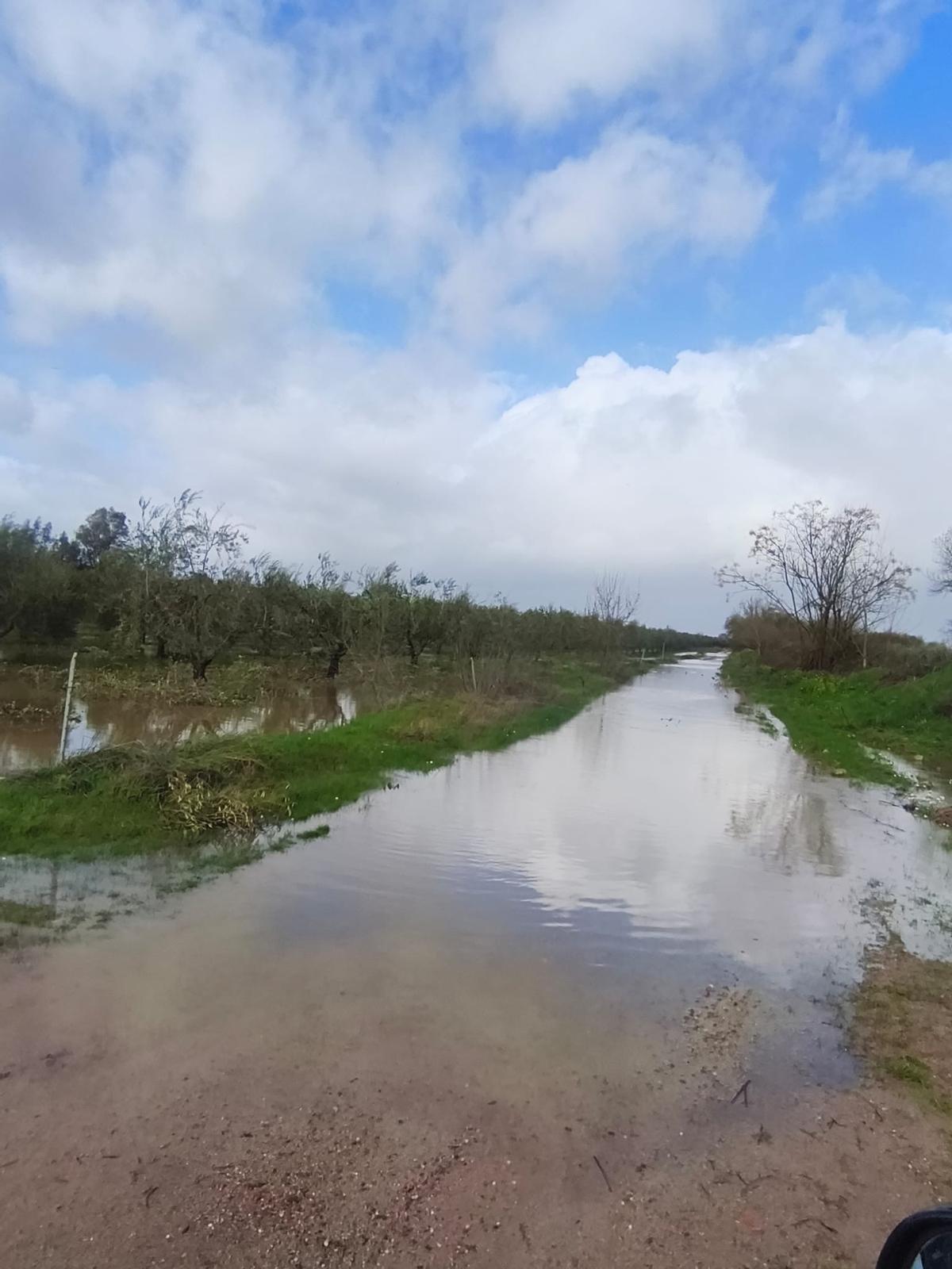 Fotogalería | Cultivos anegados en fincas de Mérida por la sucesión de borrascas
