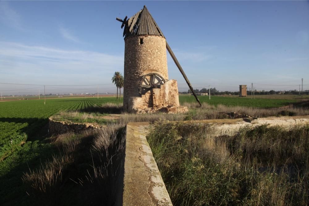 Molinos en Peligro de Extinción