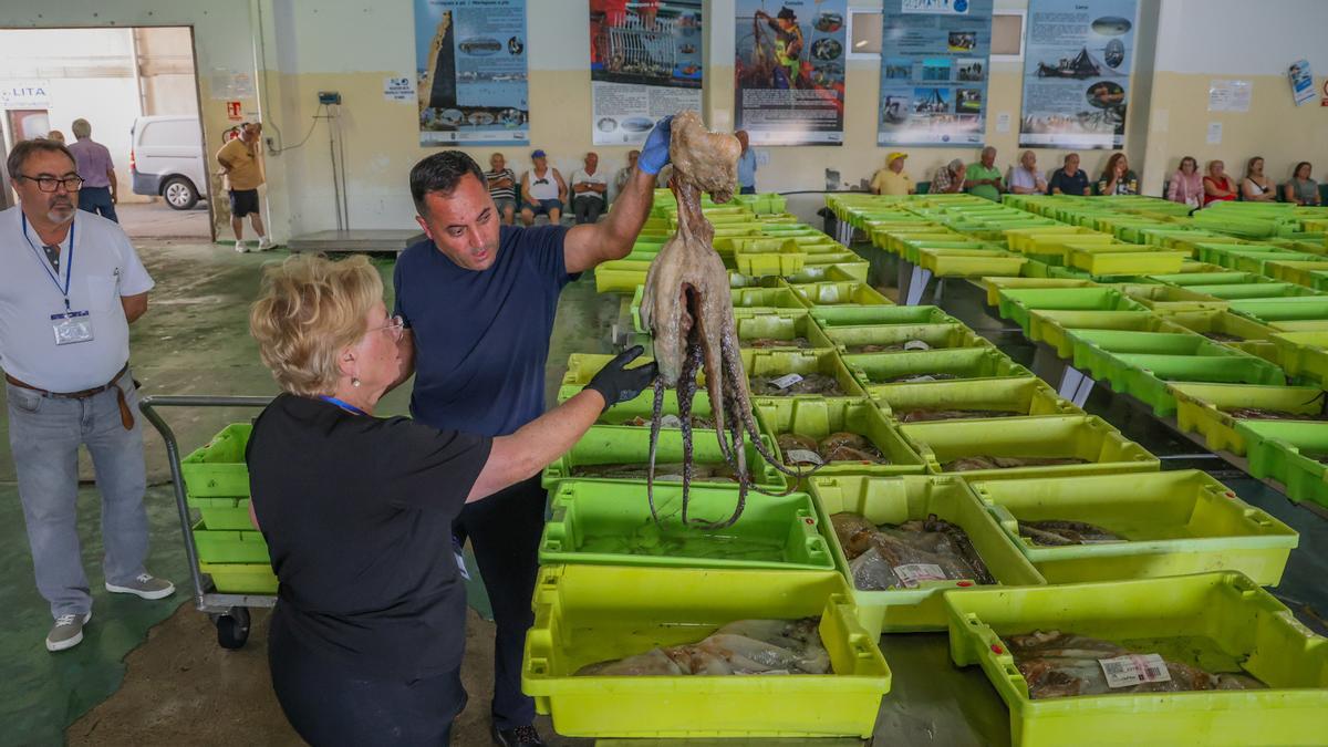 Subasta de pulpo en Cambados.