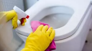 El truco definitivo para quitar las manchas amarillas en la tapa del WC