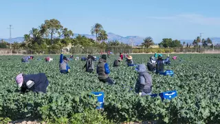 Un respiro para los regantes de la provincia de Alicante: trasvase máximo del Tajo-Segura para julio y agosto