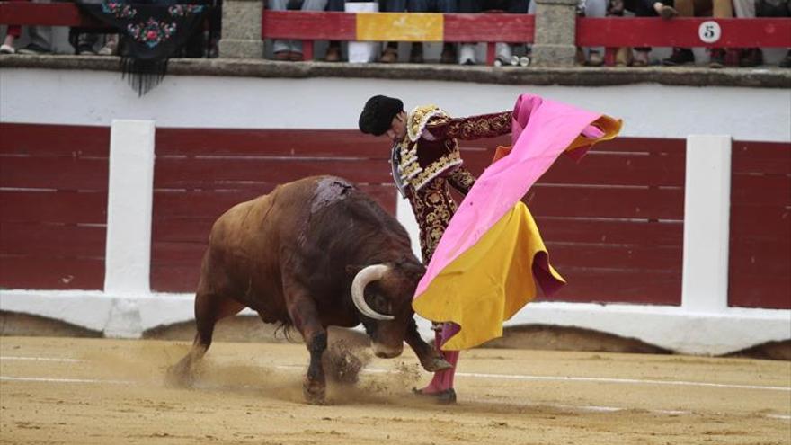 Mar Toros solicita la cesión de la plaza de Cáceres y garantiza un festejo en la feria de mayo