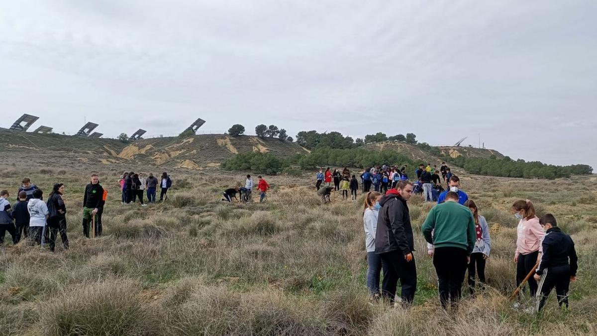 Más de 200 alumnos de sexto de Primaria celebraron este día plantando árboles en la zona de Boalares.