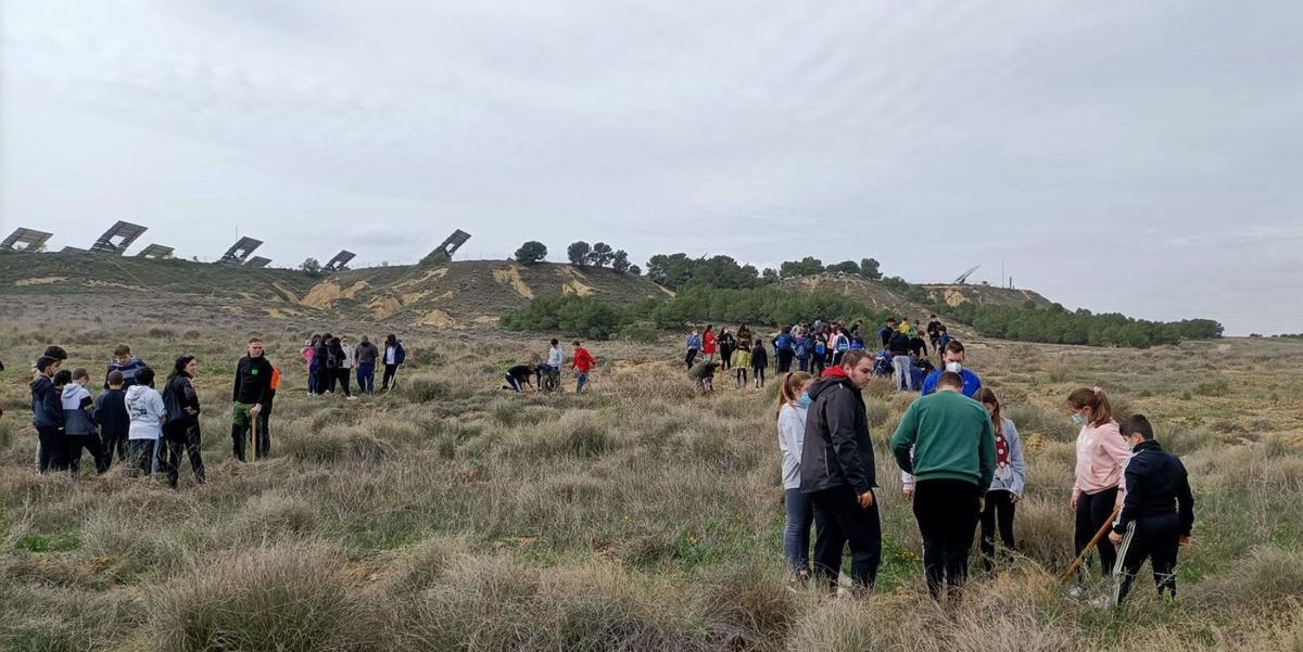 Más de 200 alumnos de sexto de Primaria celebraron este día plantando árboles en la zona de Boalares.