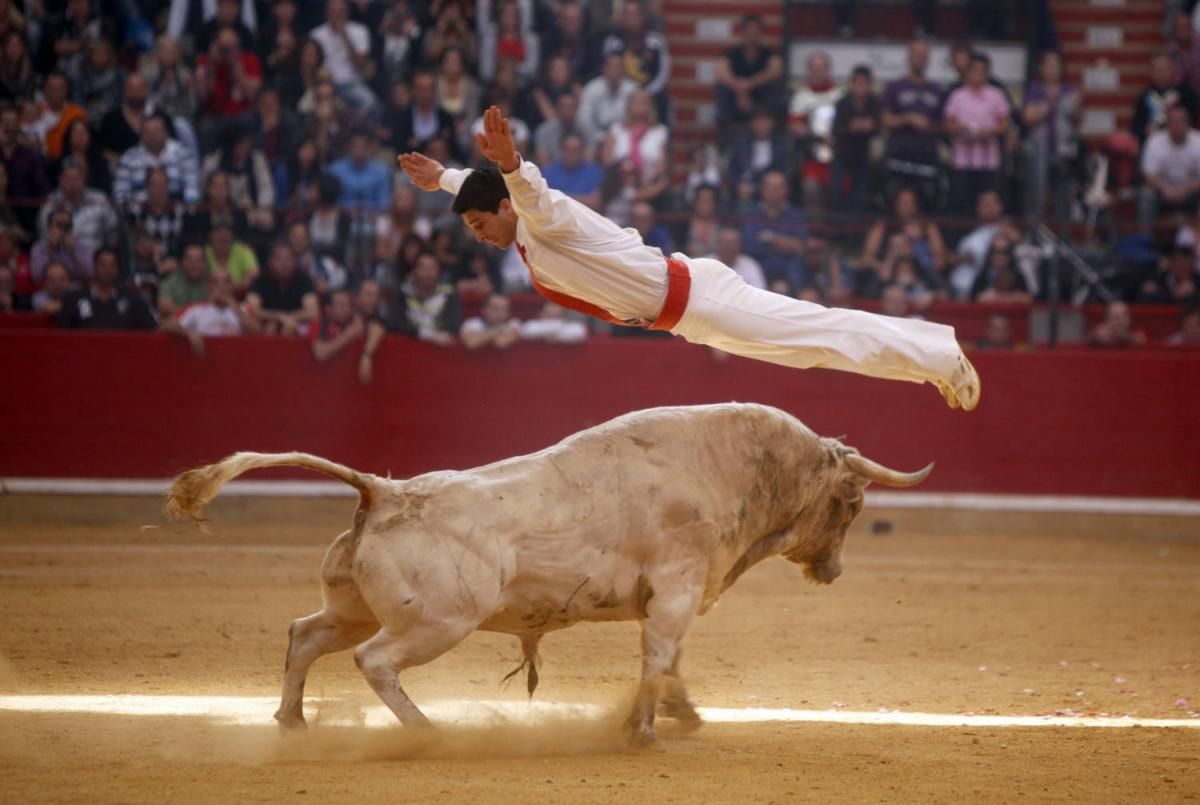 Los festejos taurinos