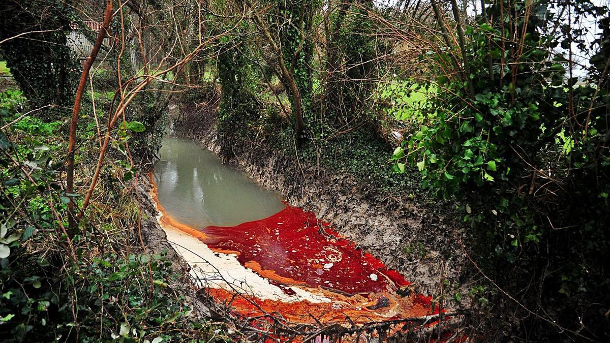 Vertido de fecales y escabeche en el Río Umia, en el concello de Ribadumia.