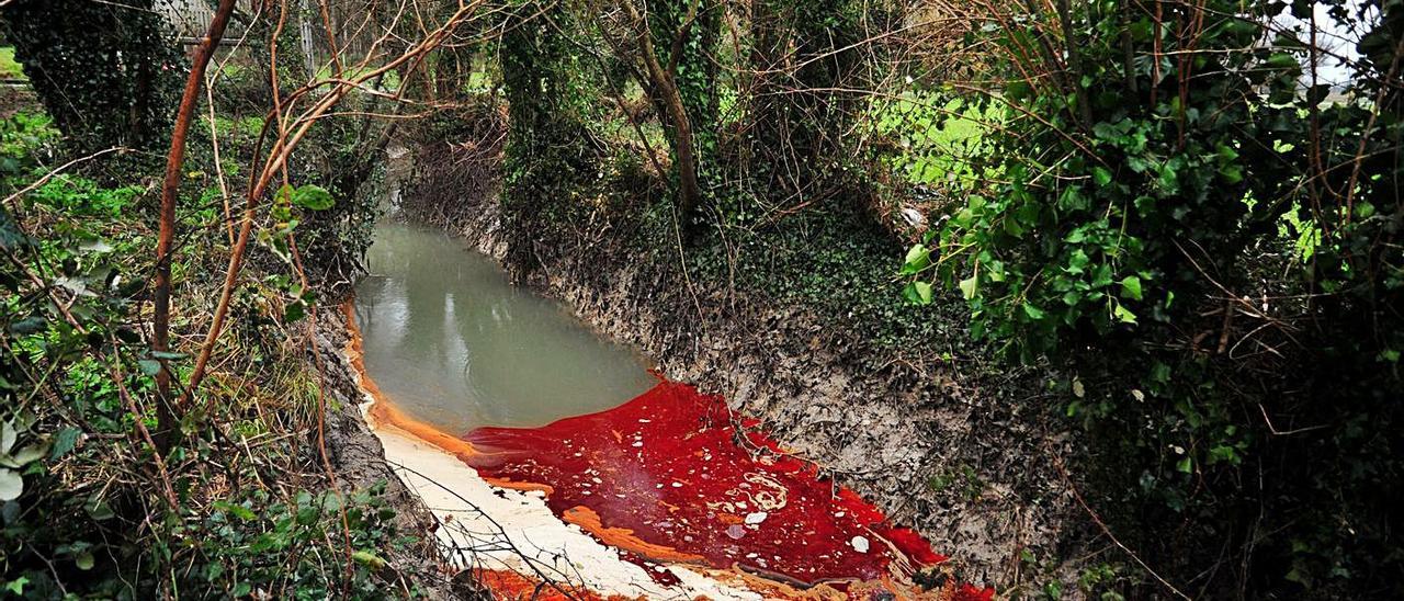 Vertido de fecales y escabeche en el Río Umia, en el concello de Ribadumia.