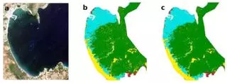 La IA permite cartografiar las praderas de posidonia de Baleares con una precisión "sin precedentes"