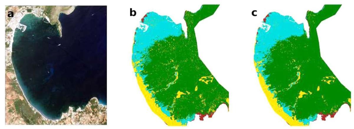 La inteligencia artificial permite cartografiar las praderas de posidonia con una precisión "sin precedentes"