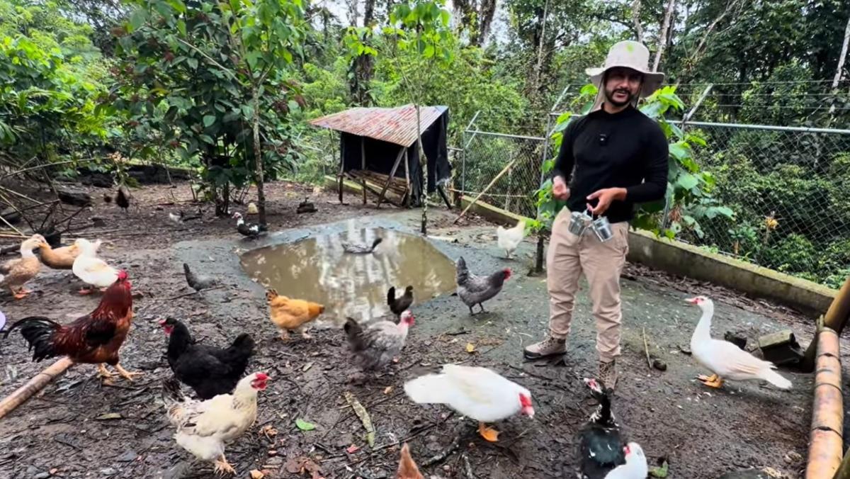 Uno de los animales que más presente está en este proyecto de Gabriel son las gallinas.
