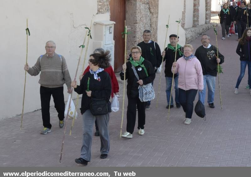 GALERÍA DE FOTOS -  Romería Magdalena 2014 (1)