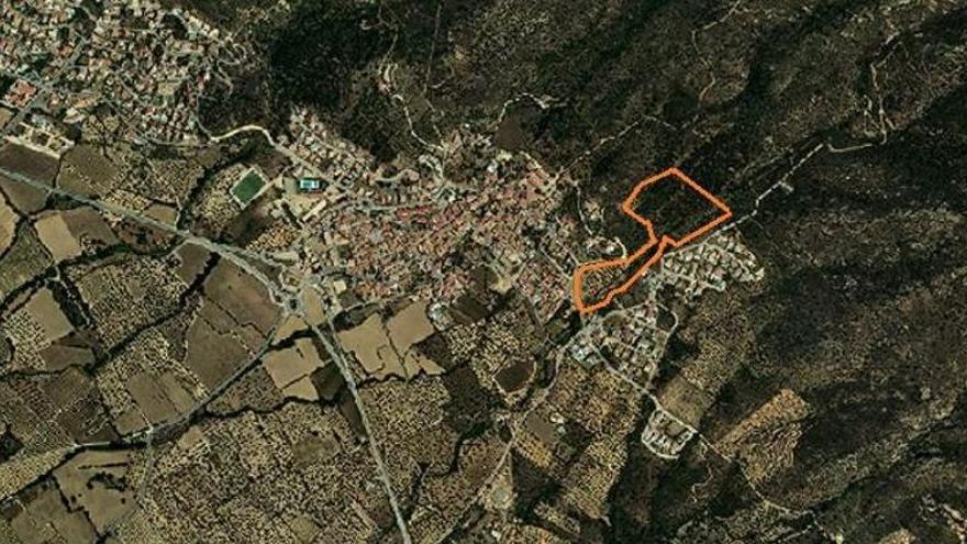 El nou sector on es vol urbanitzar a Palau-saverdera