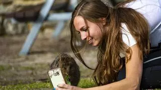 El quokka: el animal más feliz del mundo y cómo su sonrisa ha conquistado corazones