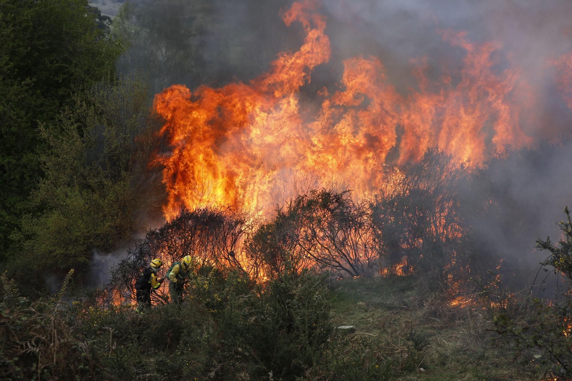 La lucha contra el fuego en el incendio entre Nava y Piloña