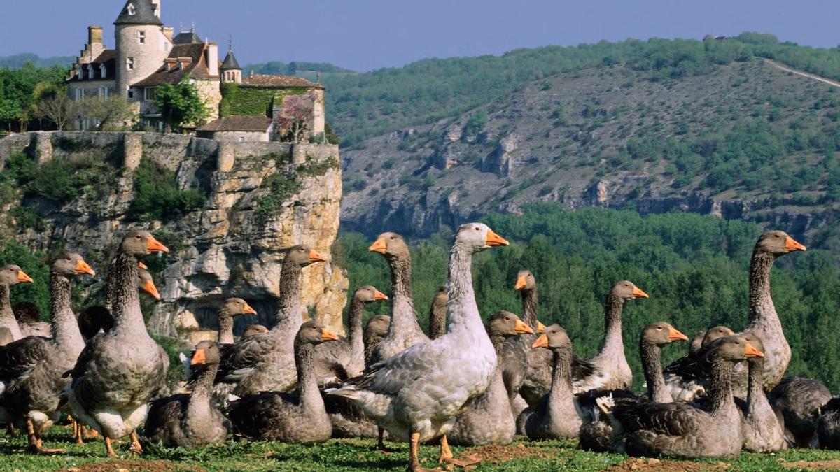 Belcastel, Dordoña, Francia