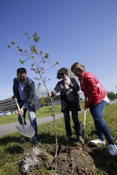 Celebración del "Día del árbol" en Oviedo