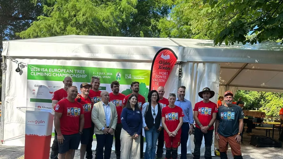 Un campeonato como la copa de un pino: Gijón acoge un torneo europeo de trepa de árboles en Isabel la Católica