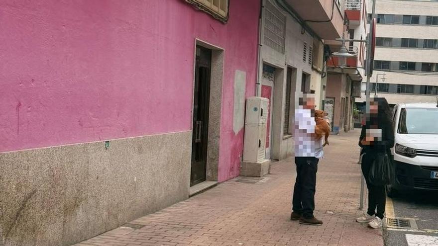 Vecinos de Cangas auxilian a un perro que cayó desde un primer piso a la acera en la calle Gondomar