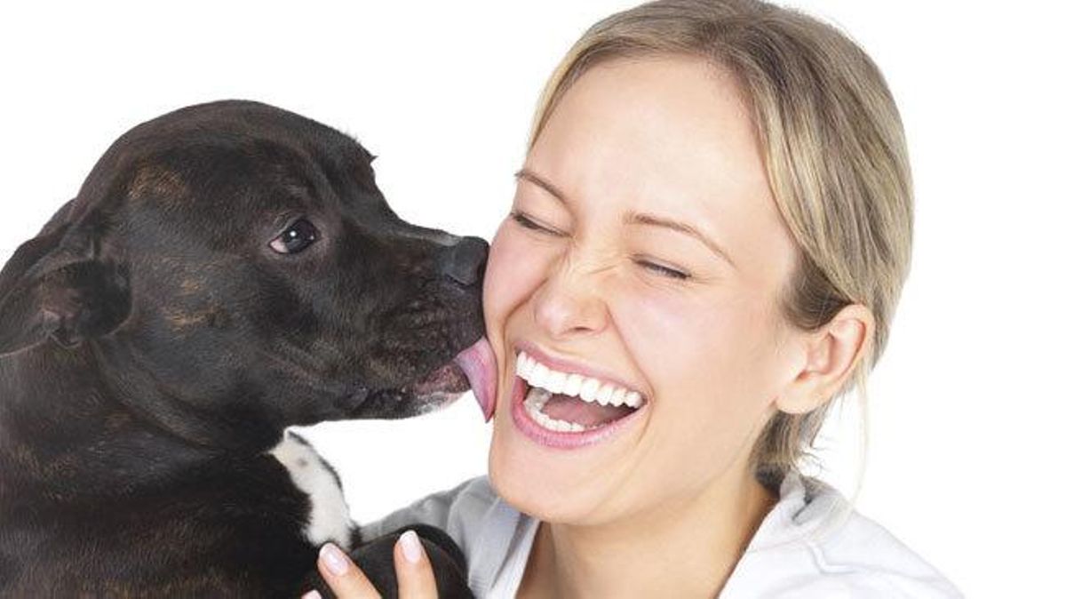 Las 10 rarezas de los perros que no conocías