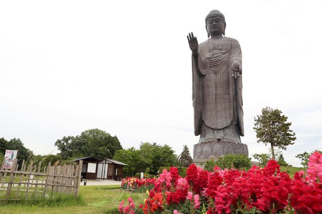 Ushiku Daibutsu, Japón