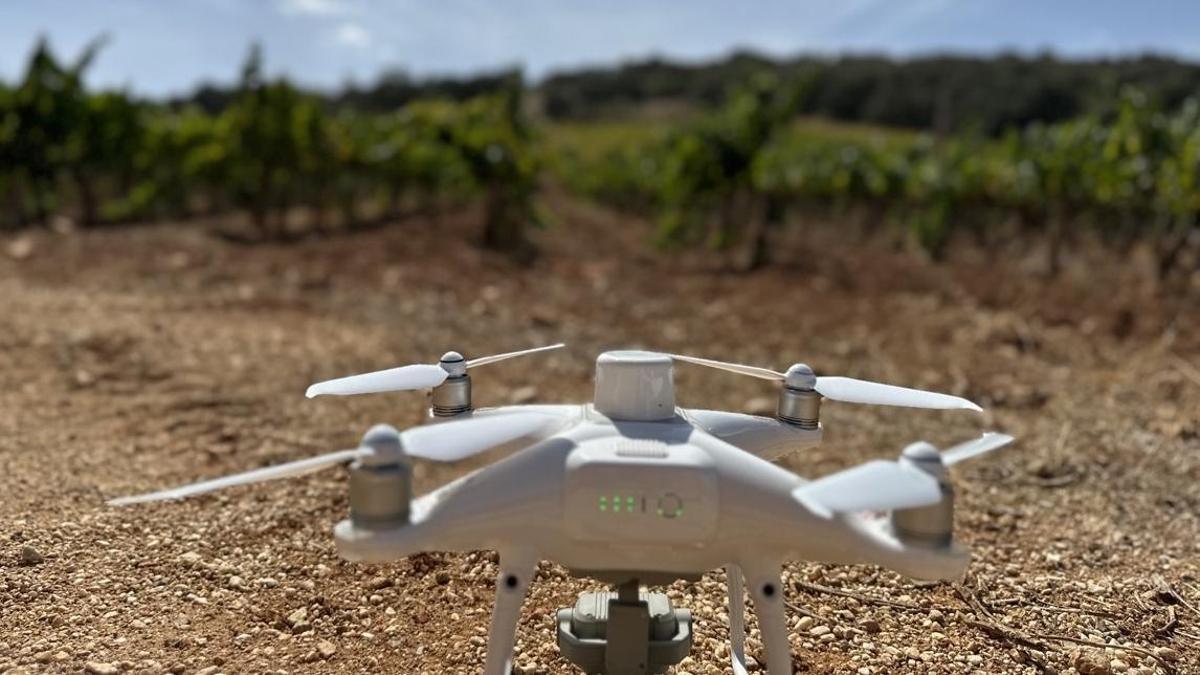 El dron del proyecto WineGrover, en los viñedos de Bodegas Conrad de Ronda.