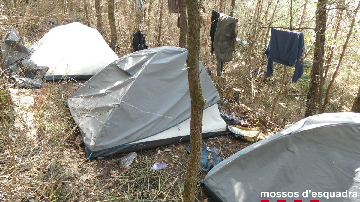 Tres tendes i roba estesa a la plantació de marihuana de Cercs