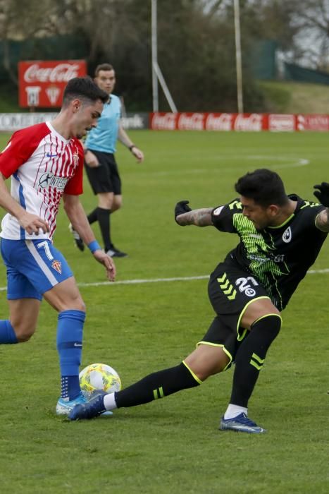 Sporting B-Rayo Majadahonda