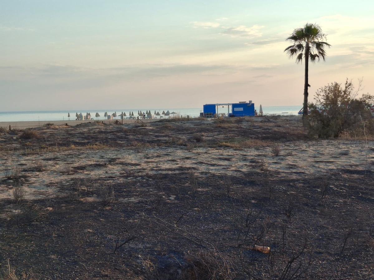 Un tramo de duna calcinado y escombros, abandono y cenizas: el estrago del incendio de Dénia junto a la playa del Raset