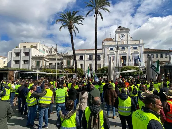 Vídeo | Así ha sido la protesta de los agricultores en Mérida
