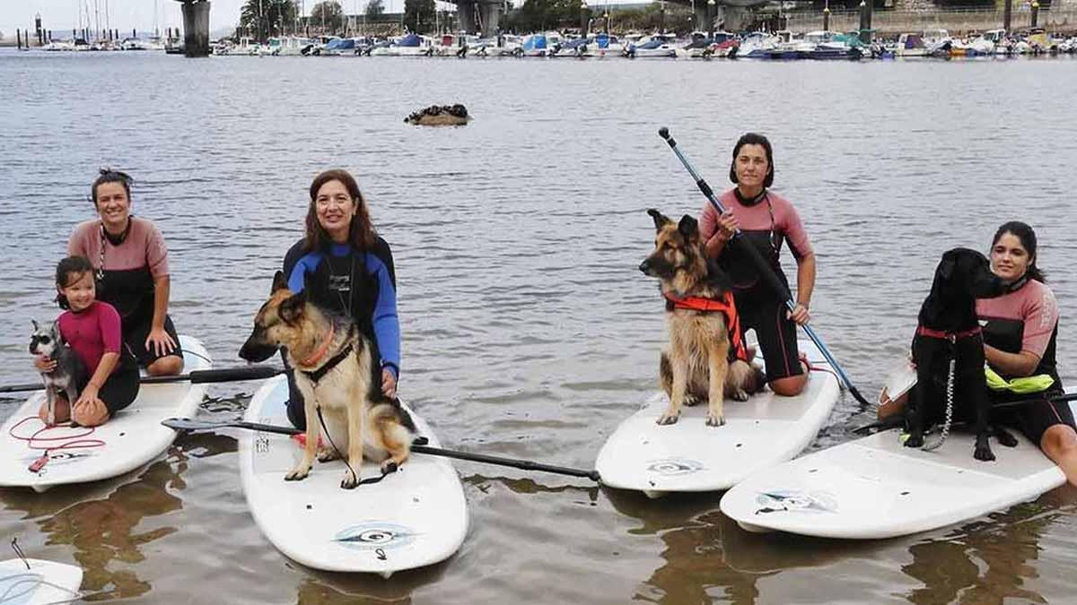 Clase de paddle surf con perros, en la Playa de Agro en Bouzas.