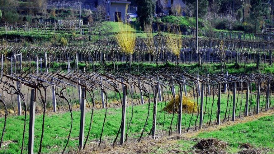 Burbujas con sabor a Rías Baixas