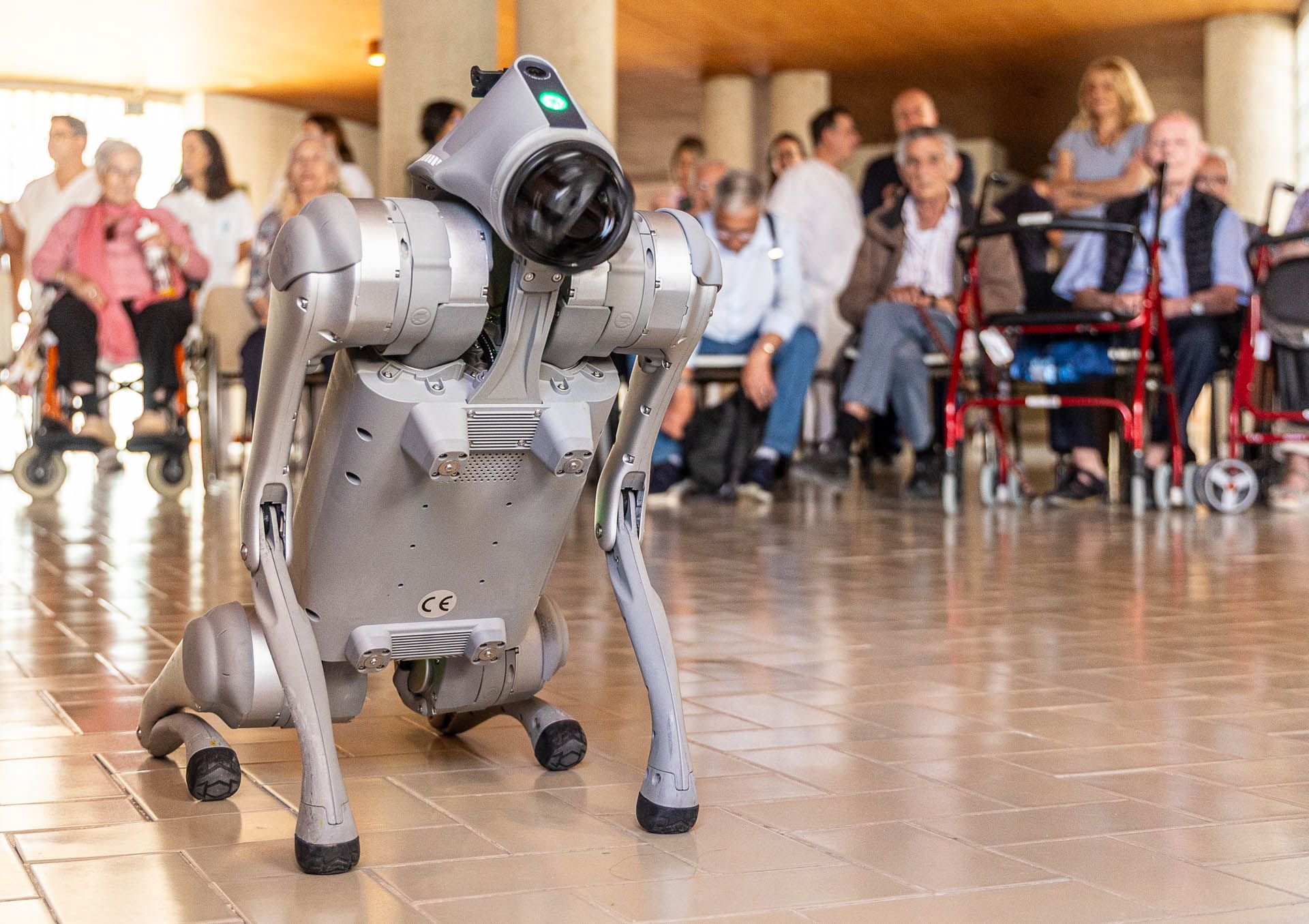 Un humanoide y un perro robot en el Hogar Provincial de Alicante