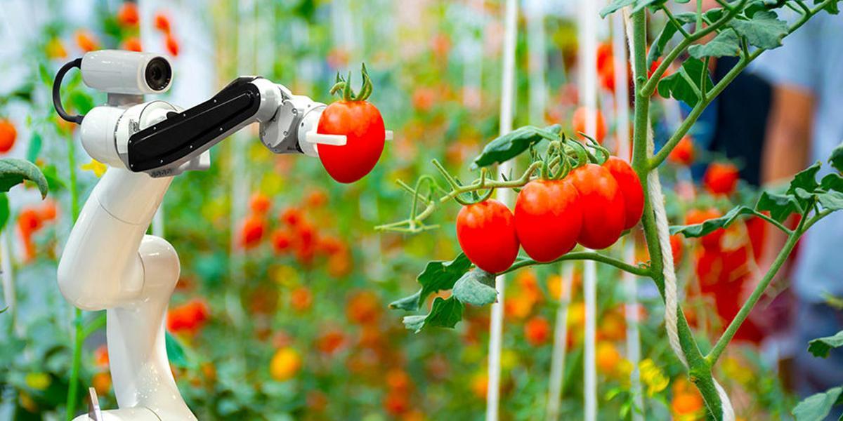 Aplicación de la tecnología en la industria de la alimentación.