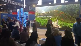 Descubrir las Rías Baixas a través del deporte