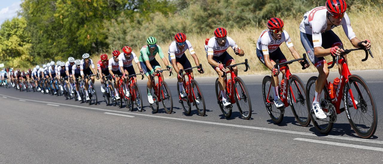 El pelotón de la Vuelta a España, durante la 19ª etapa.