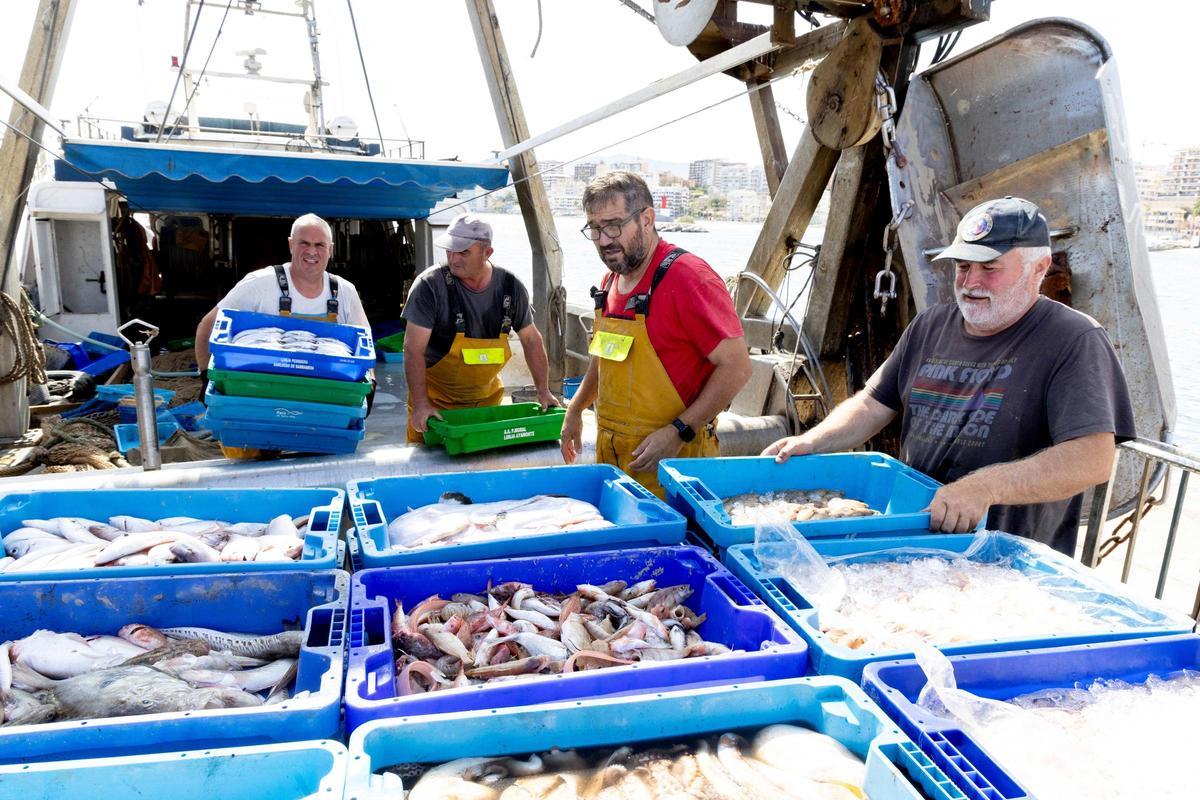Desembarque de pescado en el puerto de La Vila Joiosa.