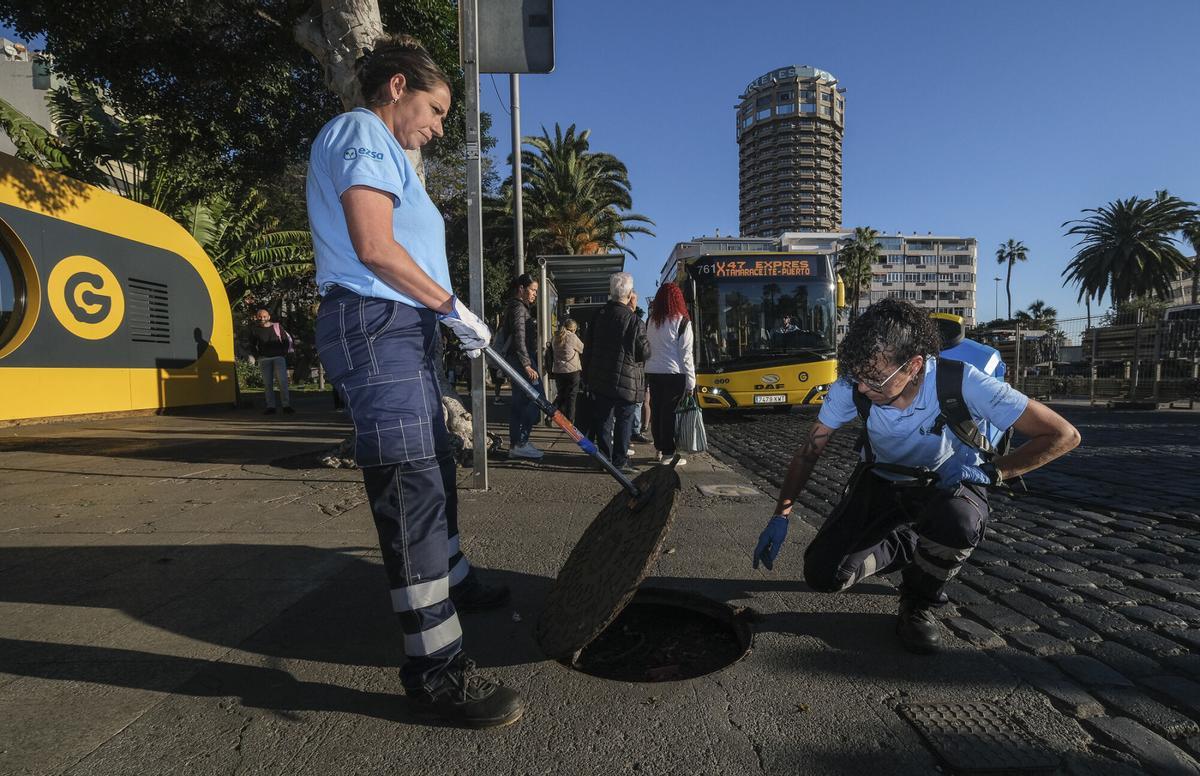 Trabajos de desratización en la zona del parque de Santa Catalina, en Las Palmas de Gran Canaria Trabajos de desratización en la zona del parque de Santa Catalina, en Las Palmas de Gran Canaria
