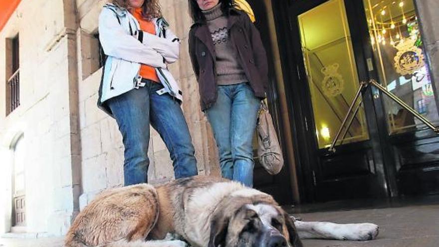 Protesta canina en el Ayuntamiento de Avilés