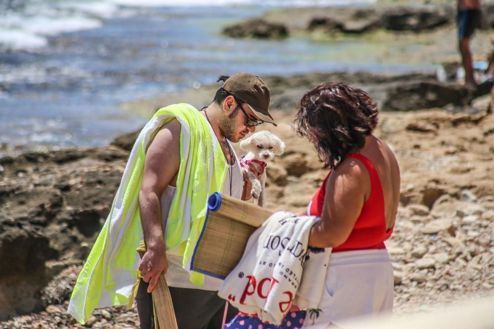 Los bañistas están acudiendo con perros a Punta Margalla y Cala del Moro, las dos playas autorizadas para perros, sin que el Ayuntamiento las haya señalizado todavía.