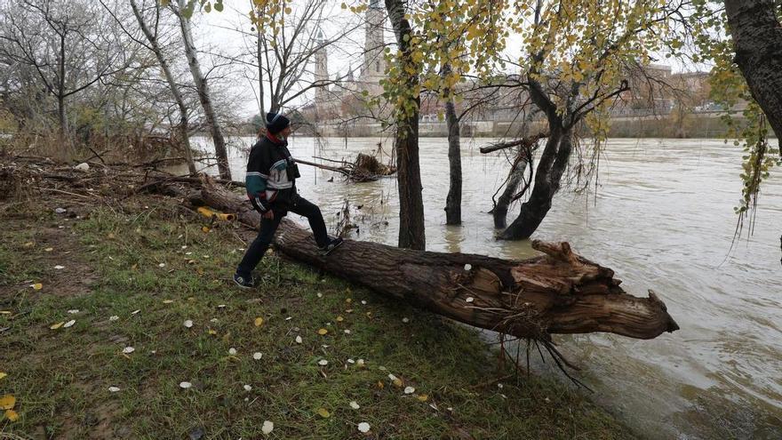 Zaragoza reserva medio millón para arreglar los daños que provocó la riada del Ebro