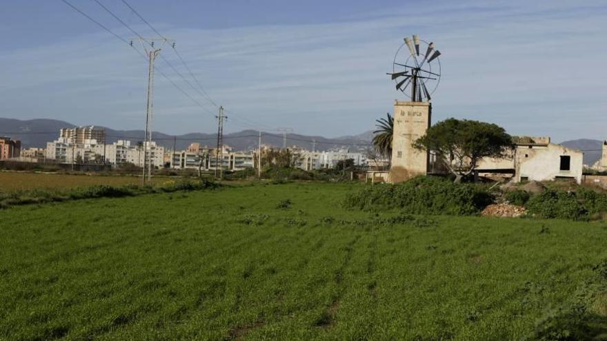 Terrenos de Son Bordoy donde se proyecta construir 750 viviendas.