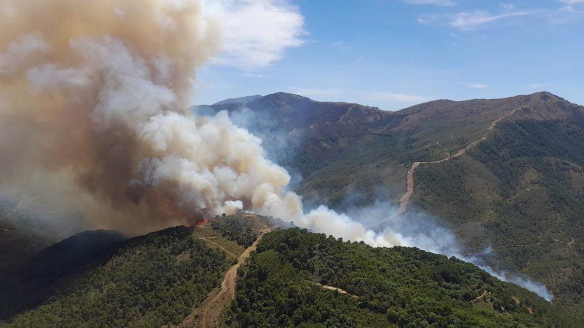 Vista del incendio declarado este miércoles en Pujerra (Málaga), en pleno corazón de Sierra Bermeja, en un área “inaccesible por tierra”. EFE/INFOCA/SOLO USO EDITORIAL