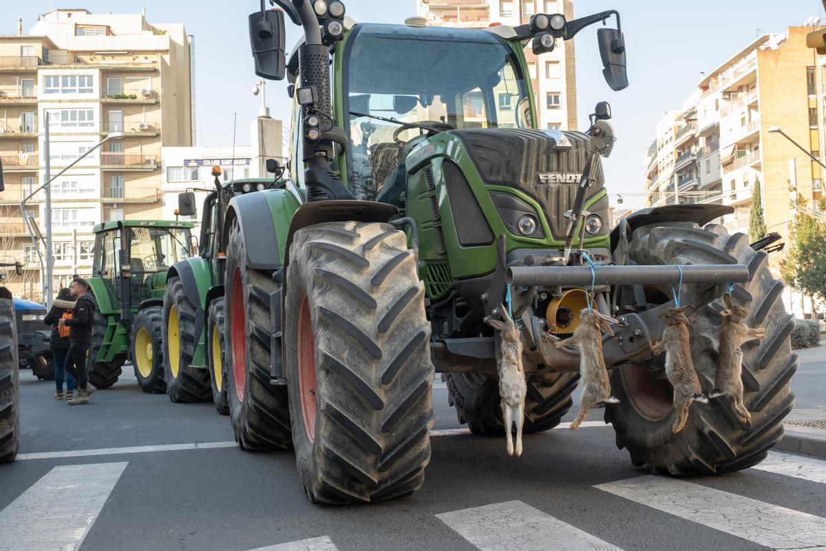 Un tractor con conejos colgados durante una protesta convocada por sindicatos agrarios para pedir medidas contra la plaga de conejos, a