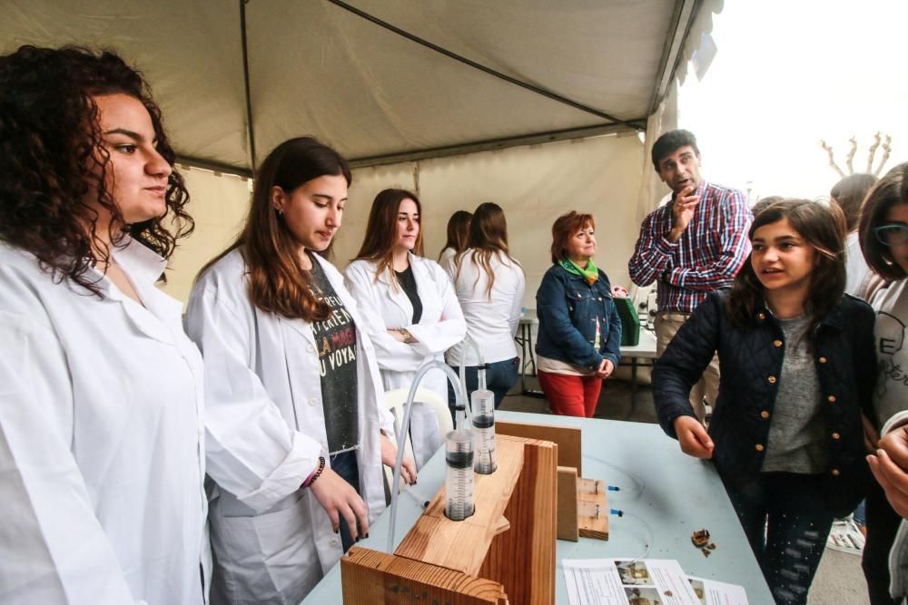 VIII Certamen de Ciencias de la Vega Baja