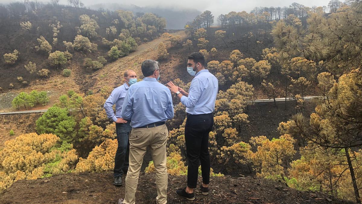 Francisco Salado (de espaldas), este miércoles en la zona afectada por el incendio en Jubrique.