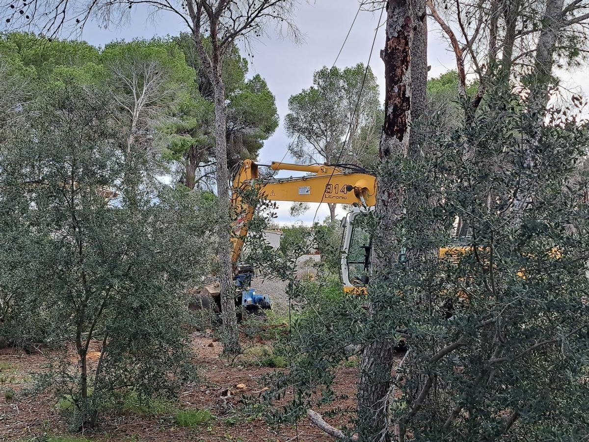 Las primeras máquinas han entrado en este suelo virgen del litoral de Benissa